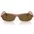 Havana + Lente Marrom Escuro / Acetato / 55