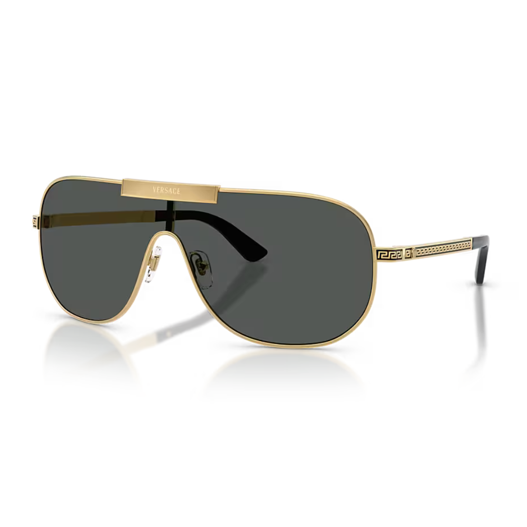 Óculos Solar Versace VE 2293
