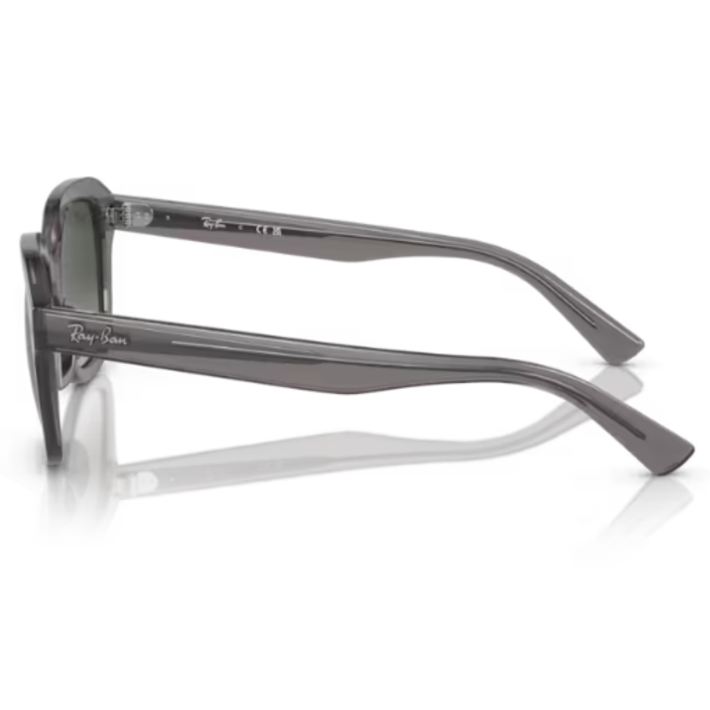 Óculos Solar Ray Ban Erik RB 4398