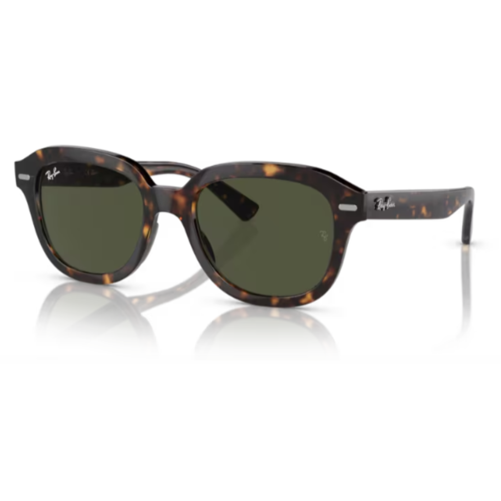 Óculos Solar Ray Ban Erik RB 4398