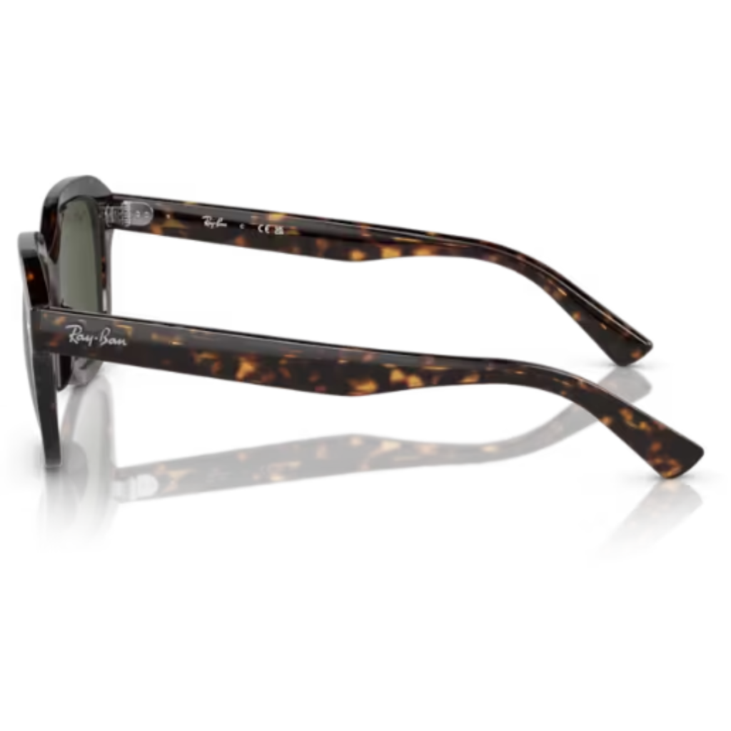 Óculos Solar Ray Ban Erik RB 4398