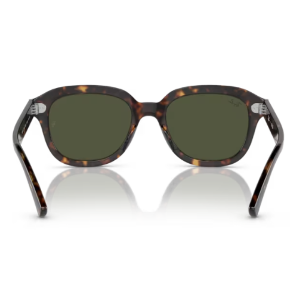 Óculos Solar Ray Ban Erik RB 4398