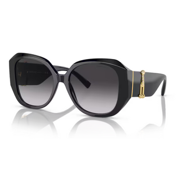 Óculos Solar Tiffany & Co. TF 4207B