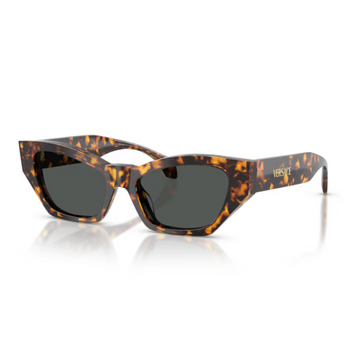 Óculos Solar Versace VE 4488U
