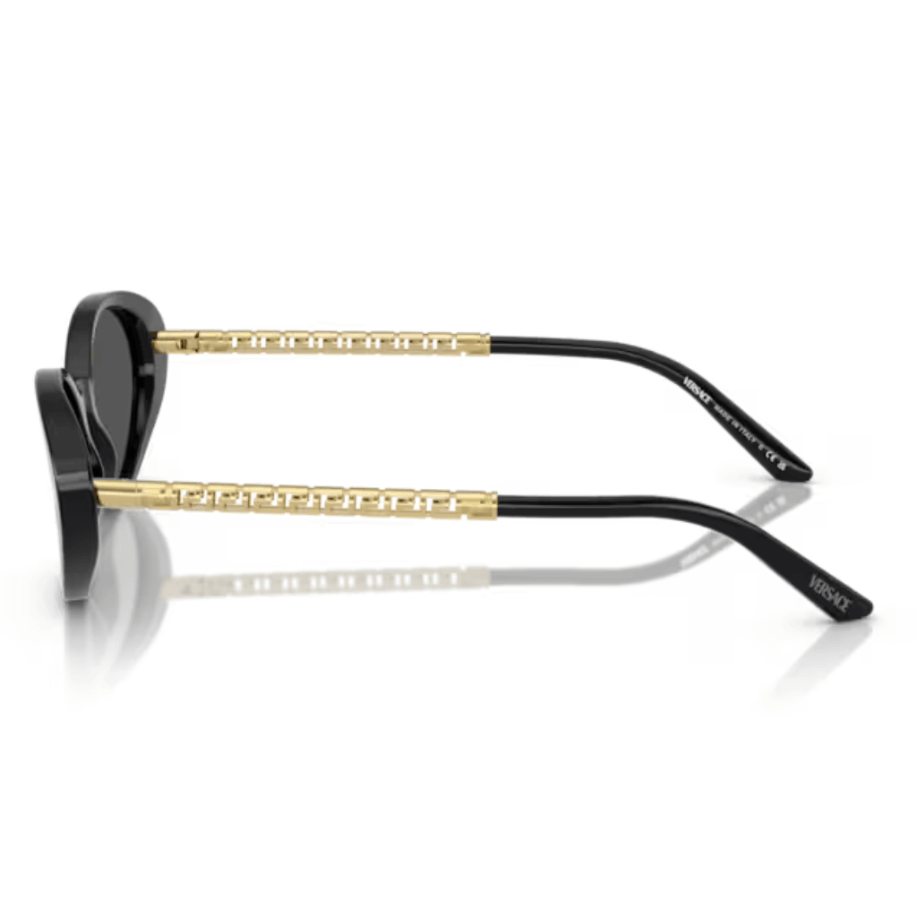 Óculos Solar Versace VE 4469