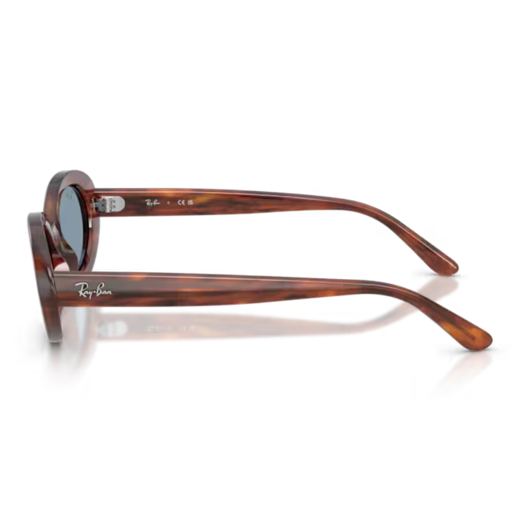 Óculos Solar Ray Ban RB 2223