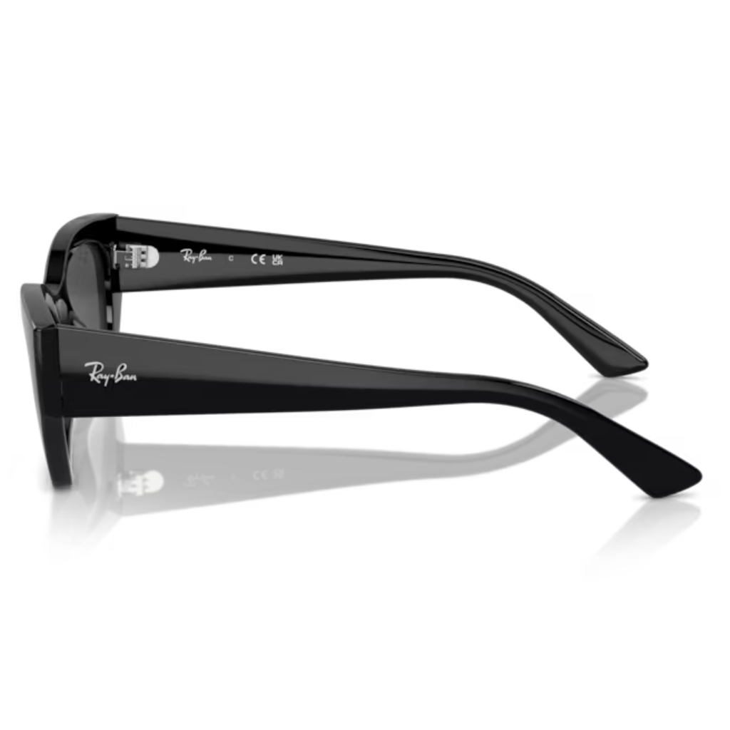 Óculos Solar Ray Ban Zena RB 4430