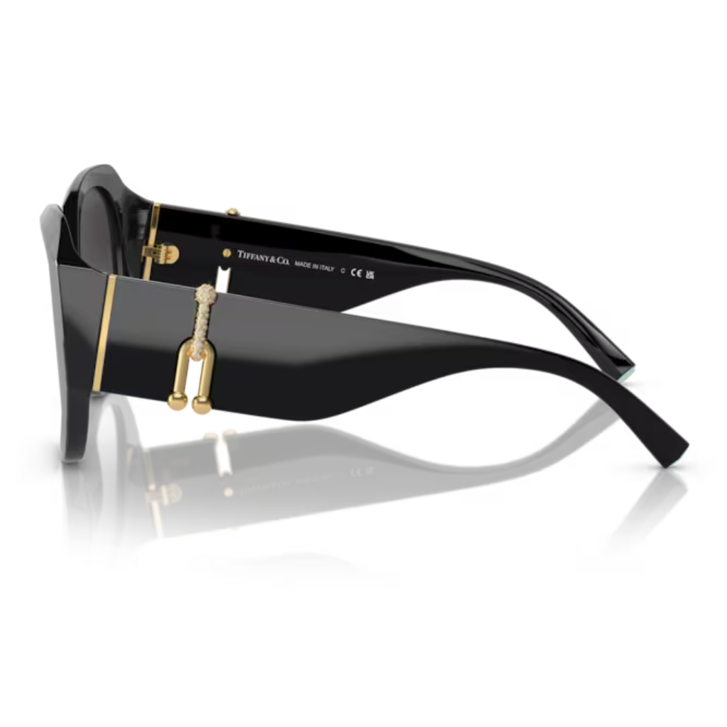 Óculos Solar Tiffany & Co. TF 4207B