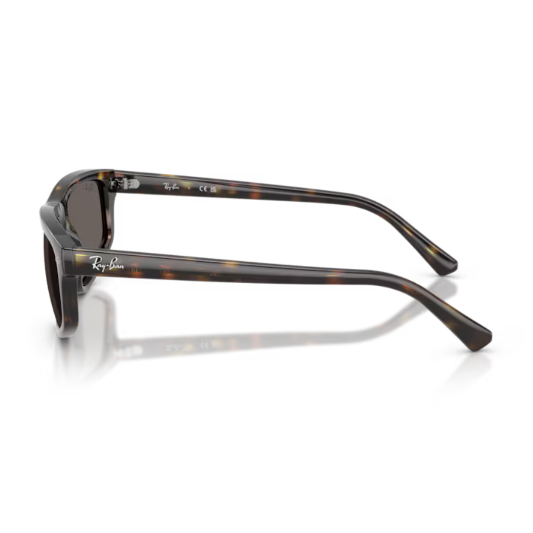 Óculos Solar Ray Ban RB 2225