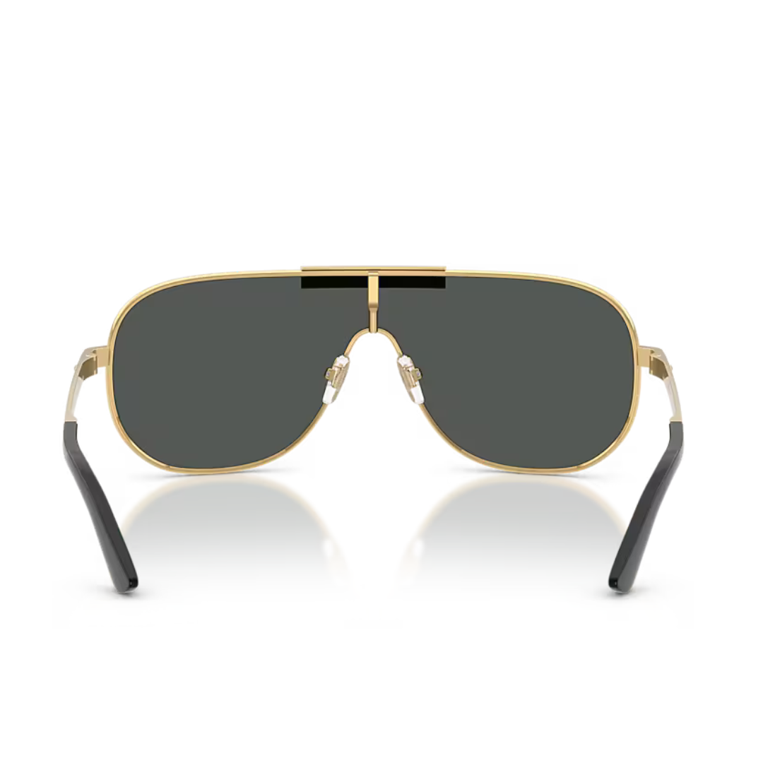 Óculos Solar Versace VE 2293