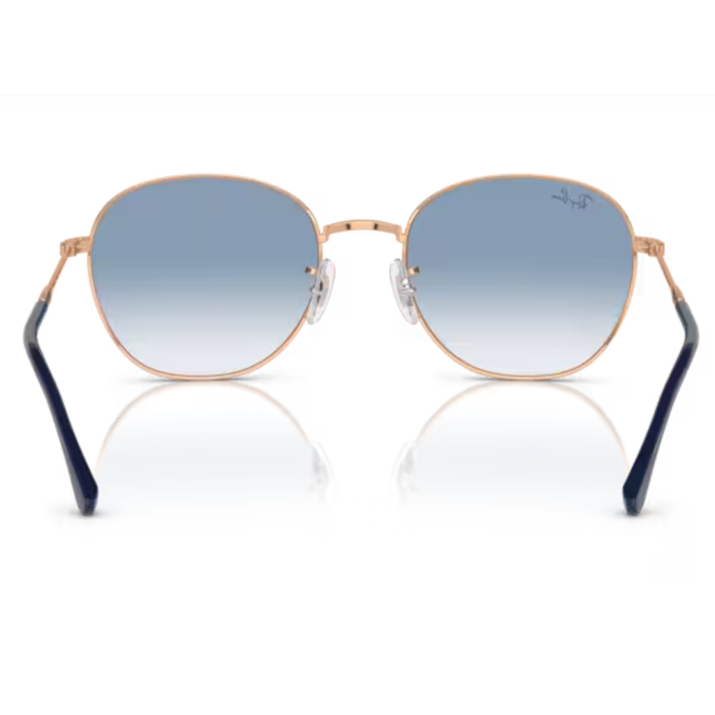 Óculos Solar Ray Ban RB 3809