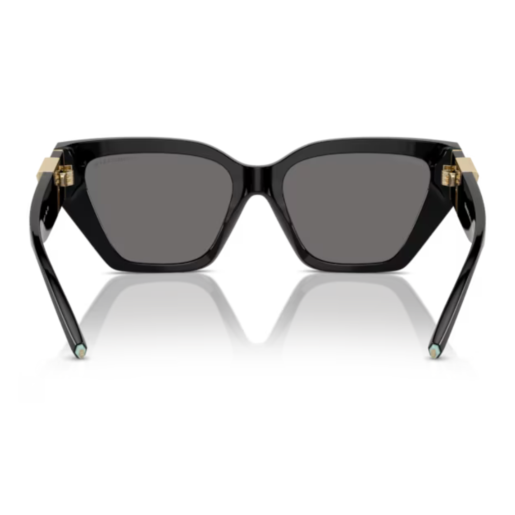 Óculos Solar Tiffany & Co. TF 4218