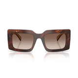 Tartaruga Caramelo + Lente Marrom Degrade