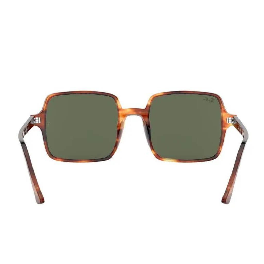 Óculos Solar Ray Ban RB 1973