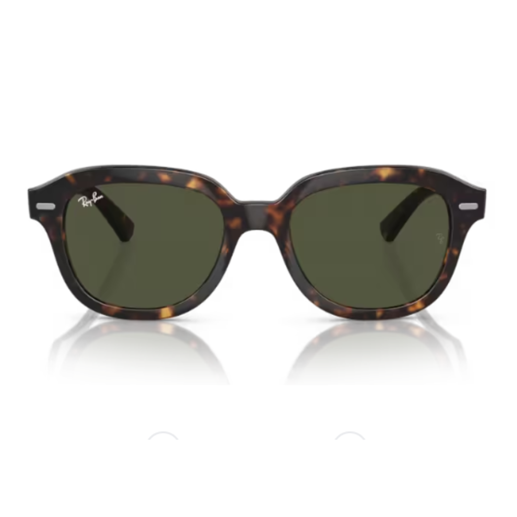 Óculos Solar Ray Ban Erik RB 4398